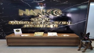 Su ve Hera uyuşturucu tacirlerine korkulu rüyası oldu