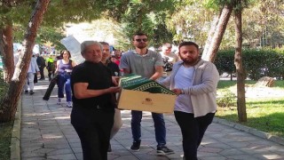 Tabut küçük acı büyük