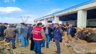 Tarım ekibi çiftçileri canlı hayvan pazarında bilgilendirdi