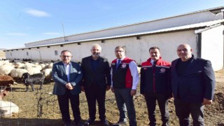 Tarım ve Orman Bakan Yardımcısı Gümen, Ahlatta tarım ve hayvancılık tesislerini gezdi