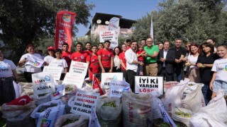 Tarsusta lösemili çocuklar için zeytin hasadı yapıldı