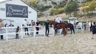 Tavşanlıda at severler için yeni bir yaşam alanı