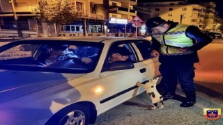 Tekirdağda denetim sırasında araca tırmanan kedi gülümsetti: Ehliyet, ruhsat tamam ama mamayı unuttun