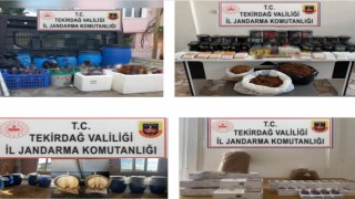 Tekirdağda Türkiye Duman Uygulamasında 13 kişi yakalandı