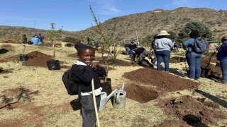 TİKAdan kuruluşunun 200. yılında Lesotho Krallığına 2000 fidan