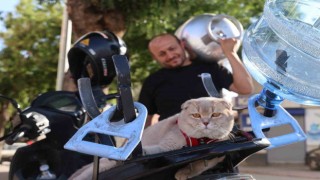 Tüpçünün motosiklet tutkunu kedisi