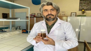 Türkiyede yeni bir akrep türü keşfedildi
