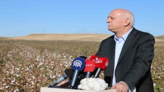 TZOB Başkanı Bayraktar: “Pamuğa gümrük vergisi koyamıyoruz”