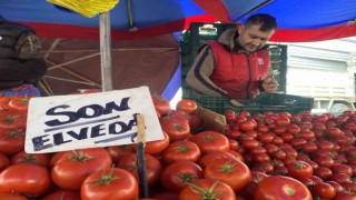 Ucuz ve lezzetli bahçe domateslerine esnaf Son elveda dedi