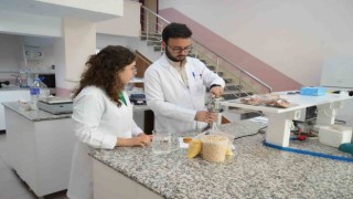 Üniversite öğrencisi termiyeden glütensiz kek üretti