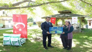 Uşakta üreticilere 24 ton yem bezelyesi dağıtıldı