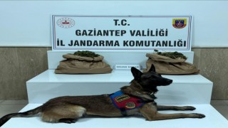 Uyuşturucu tacirine jandarma baskını