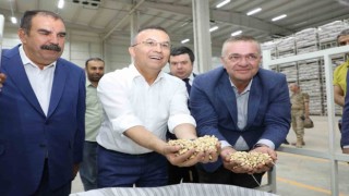 Vali Çeber, Antep fıstığı lisanslı depoda incelemelerde bulundu