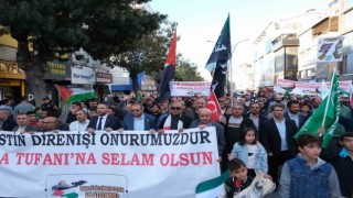 Vanda Filistine destek yürüyüşü