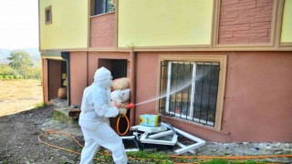 Vatandaşlar kokarcayla mücadele başlattı, 550 ev ilaçlandı