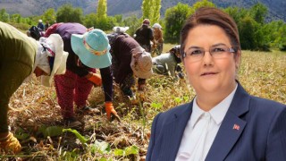 Yanık: "Kadınlar Tarımsal Gıda Sisteminin Hayati Bir Parçası"