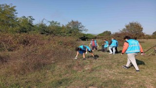 Yaşadıkları alanı temizlediler