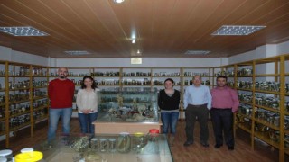 Yeni bir bakteri türü bulundu