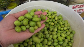 Yeni mahsul kırma-çizme zeytin satışa çıktı