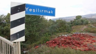 Yeşilırmak Nehrinin kıyısına çuvallar dolusu soğan ve patlıcan döküldü