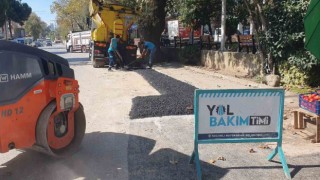 Yollarda öncelik yaya ve araç güvenliği