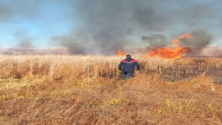 Yüksekova Nehil sazlığında başlayan yangın kontrol altına alındı