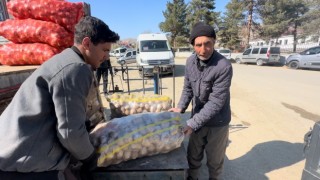 Yüksekovada patates satışları başladı