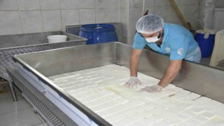 Yüzde 50 hibe desteğiyle kurulan fabrikada süt ürünleri üretiliyor