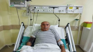 Zehirli mantar hastanelik etti