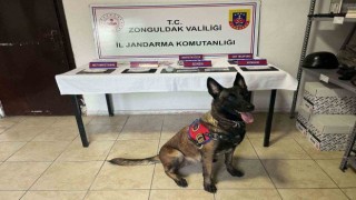 Zonguldakta polis ve jandarmanın denetimleri sürüyor