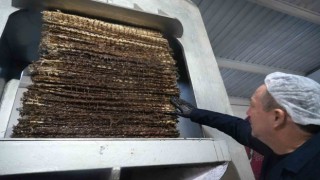 100 yıllık sistemler ile taş baskı zeytinyağı üretiliyor