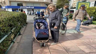 17 Kilo ağırlığına ulaşan köpeğini gezdirme adeta bir bebek gibi dolaştırıyor