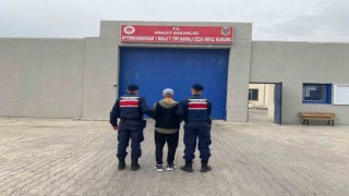20 yıl hapis cezasıyla aranan şahıs jandarma tarafından yakalandı
