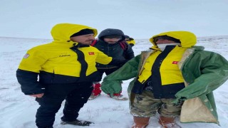 64 koyunla sağ olarak kurtarılan çobandan Vali Çiçeke teşekkür