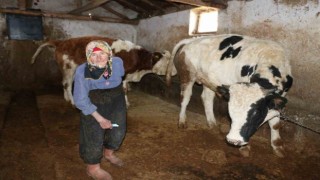 79 yaşındaki Dilber ninenin inanılmaz hayat mücadelesi görenlere maşallah dedirtiyor