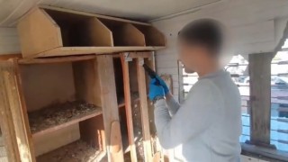 Adanada 8 tabanca ve çok sayıda uyuşturucu ele geçirdi