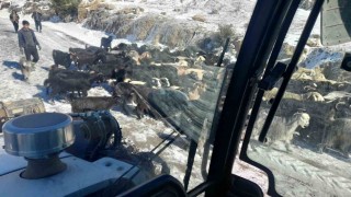 Adanada karda mahsur kalan yayla sakinleri ve çobanlar kurtarıldı