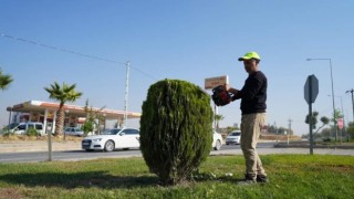 Adıyaman Belediyesinden kente estetik dokunuş