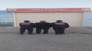 Ağaç kestiği için hapis cezasıyla aranan şahsı jandarma yakaladı
