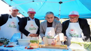 Aliağada 3. Zeytin Hasat Şenliği düzenlendi