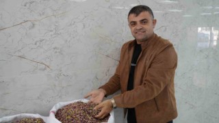 Antep fıstığına Dubai çikolatası etkisi