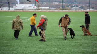 Arama kurtarma köpekleri hakem semineri Çekmeköyde düzenlendi
