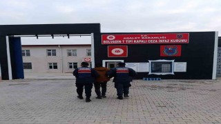 Aranan şahısları jandarma yakaladı