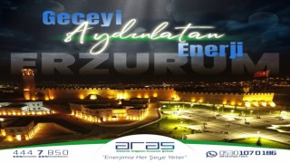 Aras Elektrikten rekor sürede enerji arzı