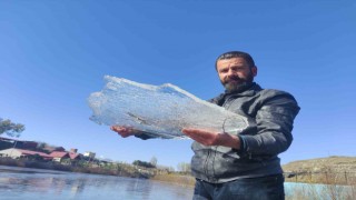 Ardahanda Kura Nehri buz tuttu