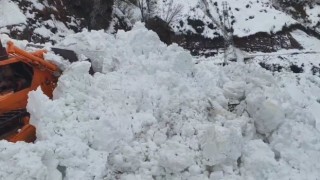 Artvinde Macahel yolunda çığ meydana geldi, bölgedeki 6 köyle ulaşımı kesildi