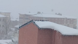 Aşkalede kar yağışı etkili oluyor