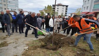 Atakum yeşile bürünüyor