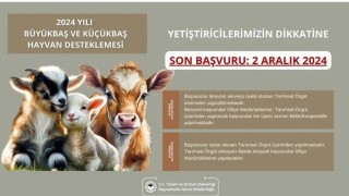 Aydın İl Tarım ve Orman Müdürlüğünden destekleme başvuruları için son gün uyarısı