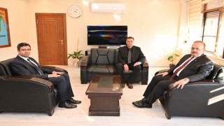 Aydın Valisi Canbolat, Yenipazarda incelemelerde bulundu
